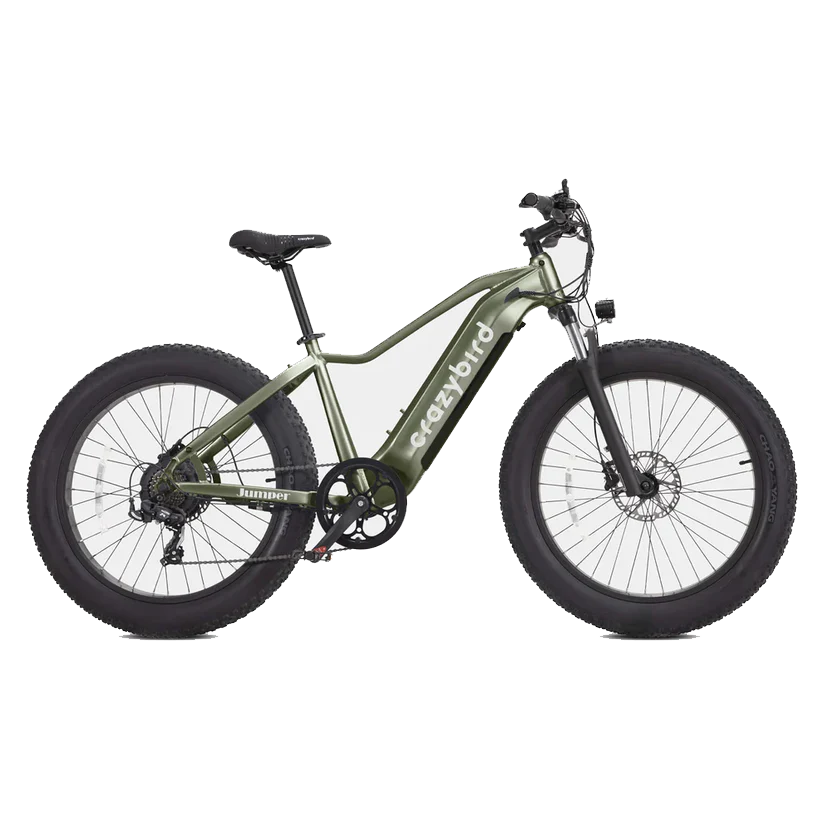 Crazybird CB60 E-Bike