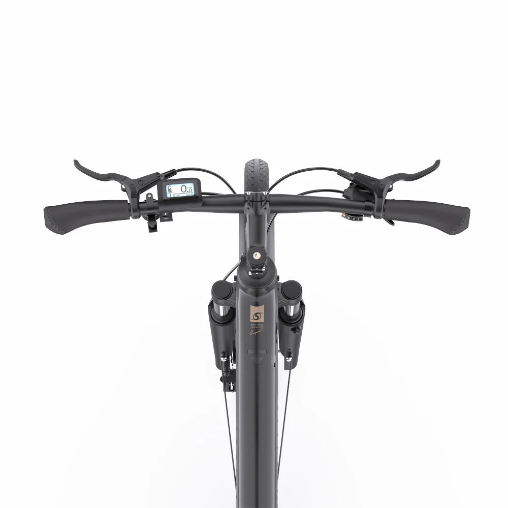 205-Onesport OT07 E-bike