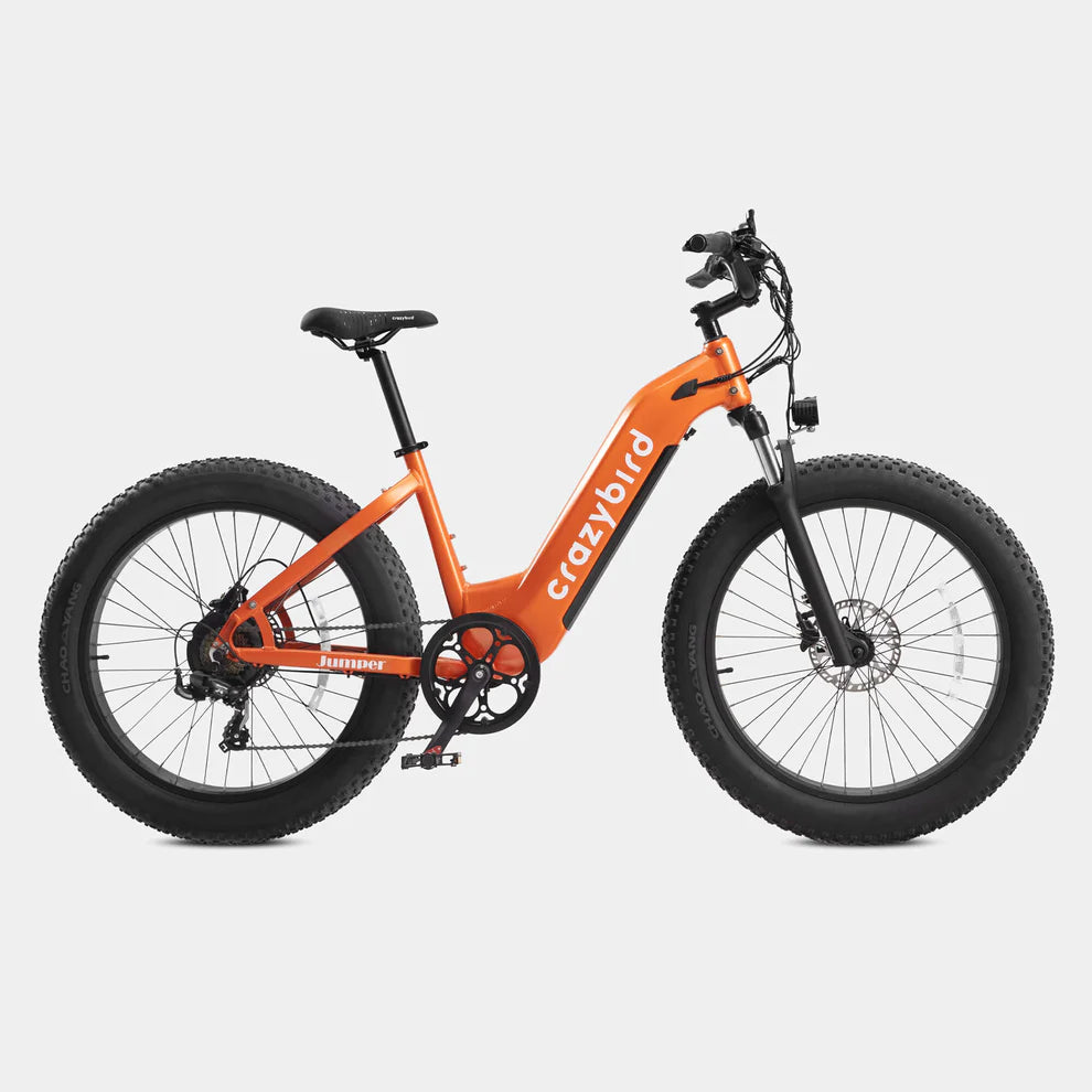 Crazybird CB60 E-Bike