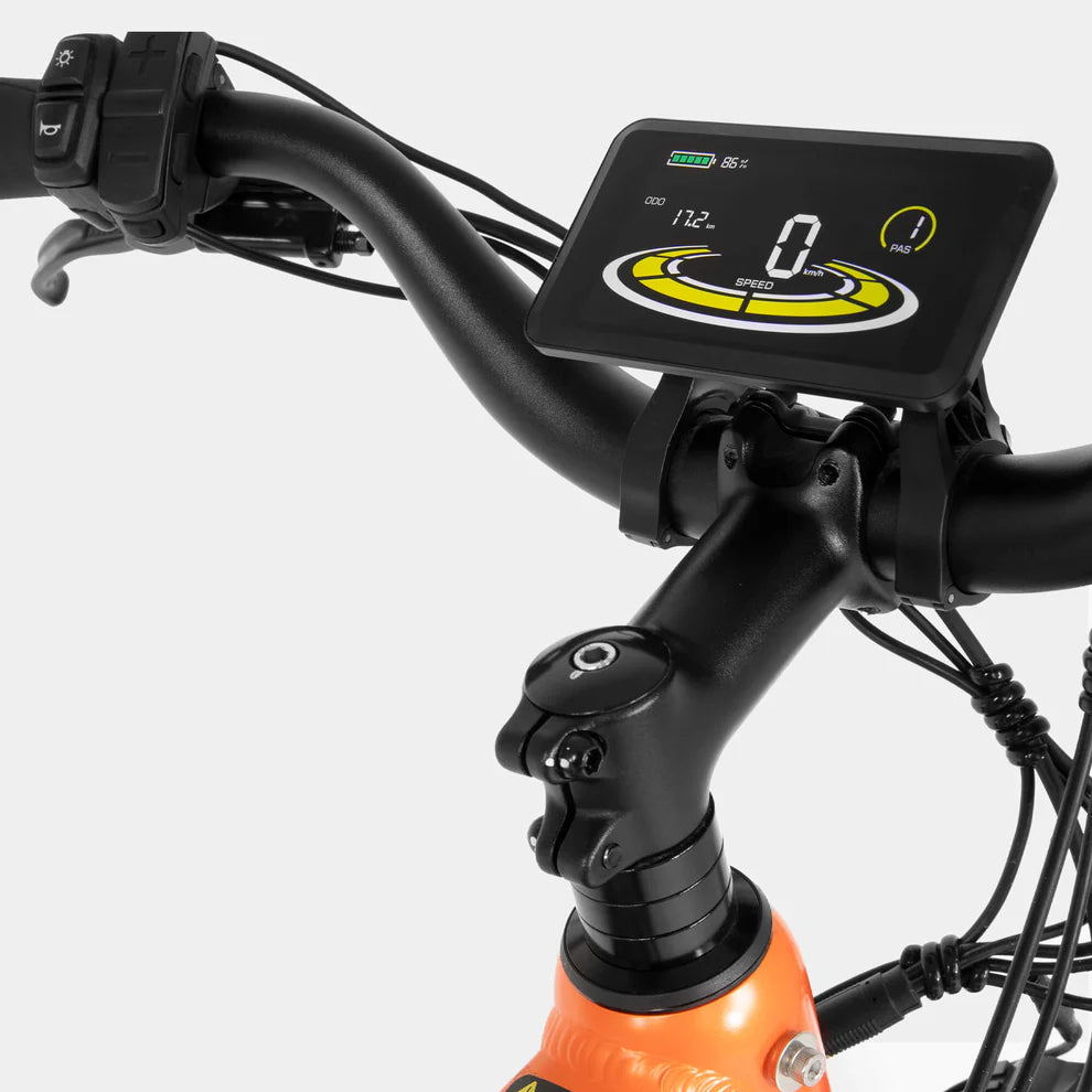 Crazybird CB60 E-Bike