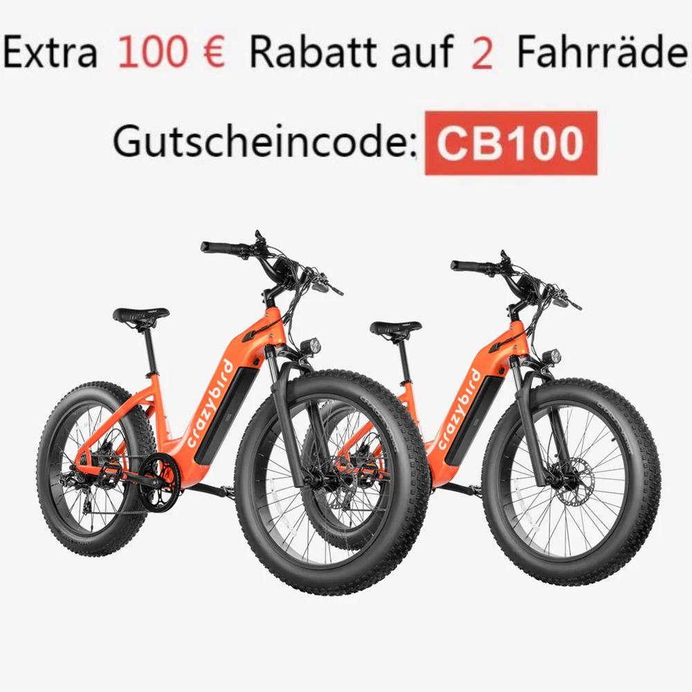 Crazybird CB60 E-Bike