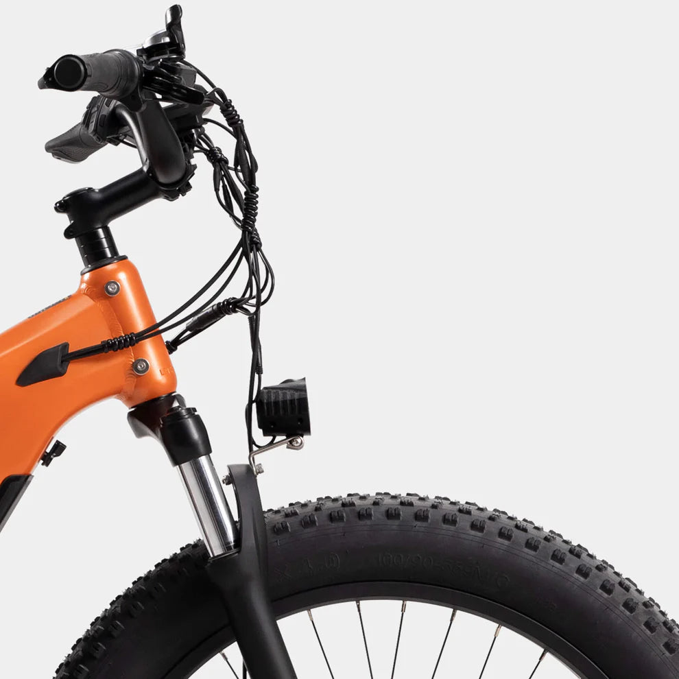 Crazybird CB60 E-Bike