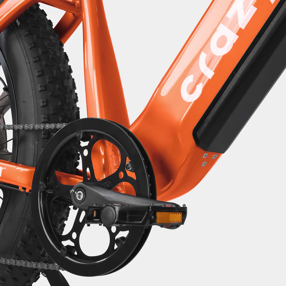 Crazybird CB60 E-Bike