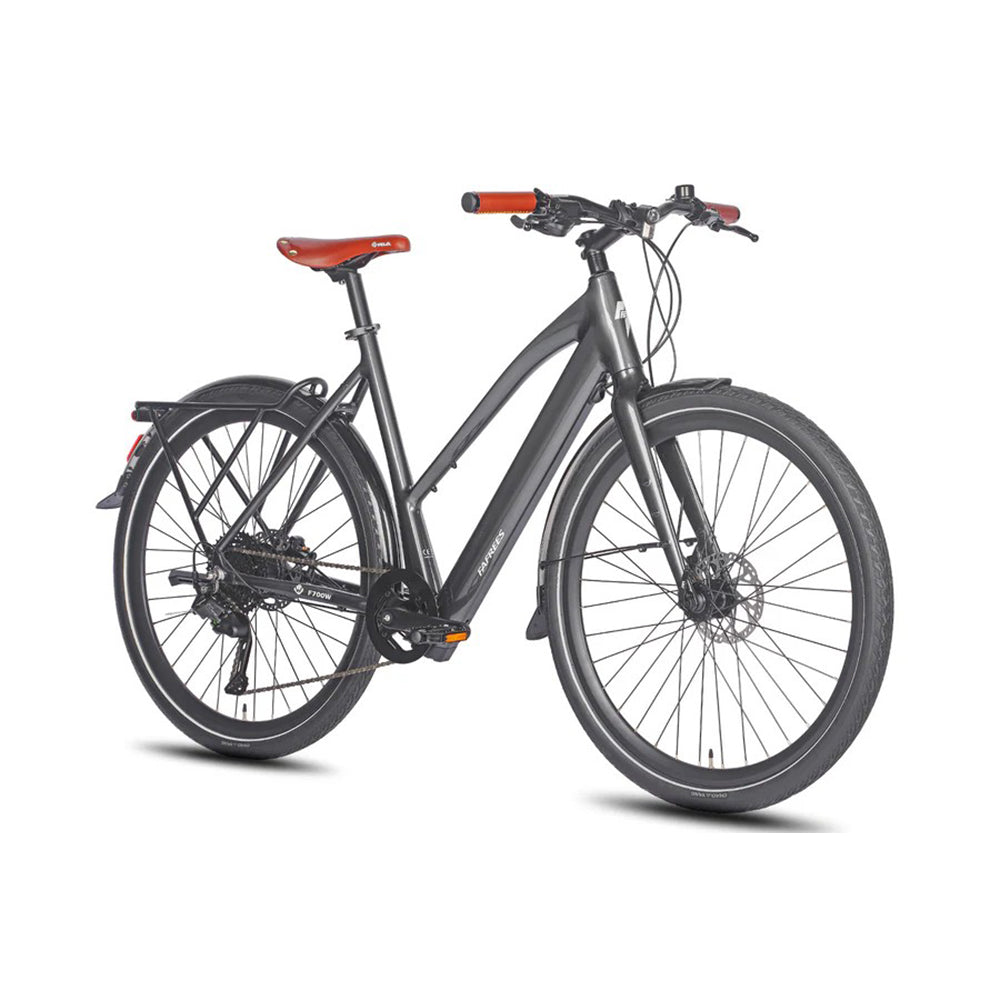 329-Fafrees F700W E-bike