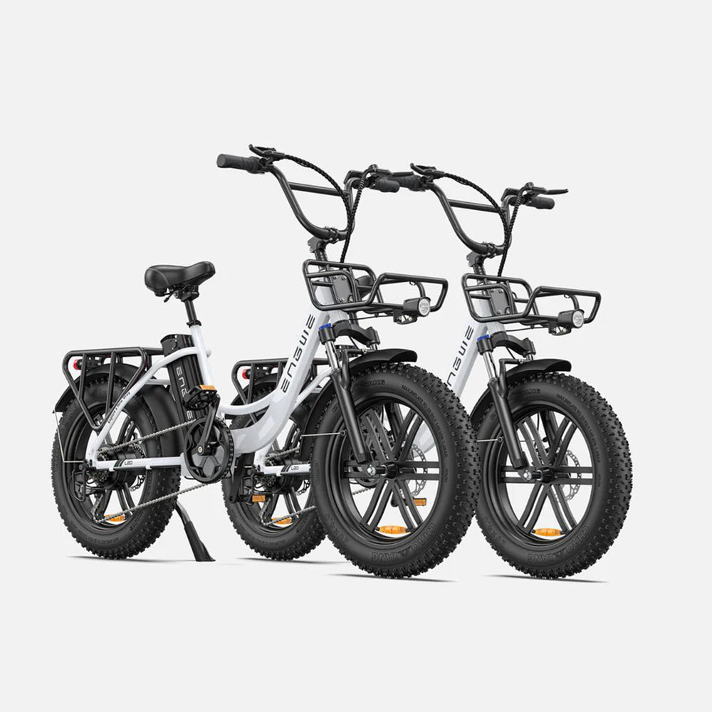 129-Engwe L20 Combo Ebike