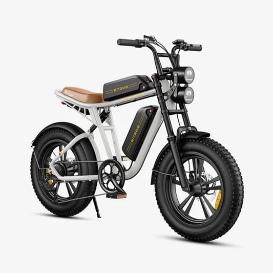102-ENGWE M20 E-bike mit großer Reichweite