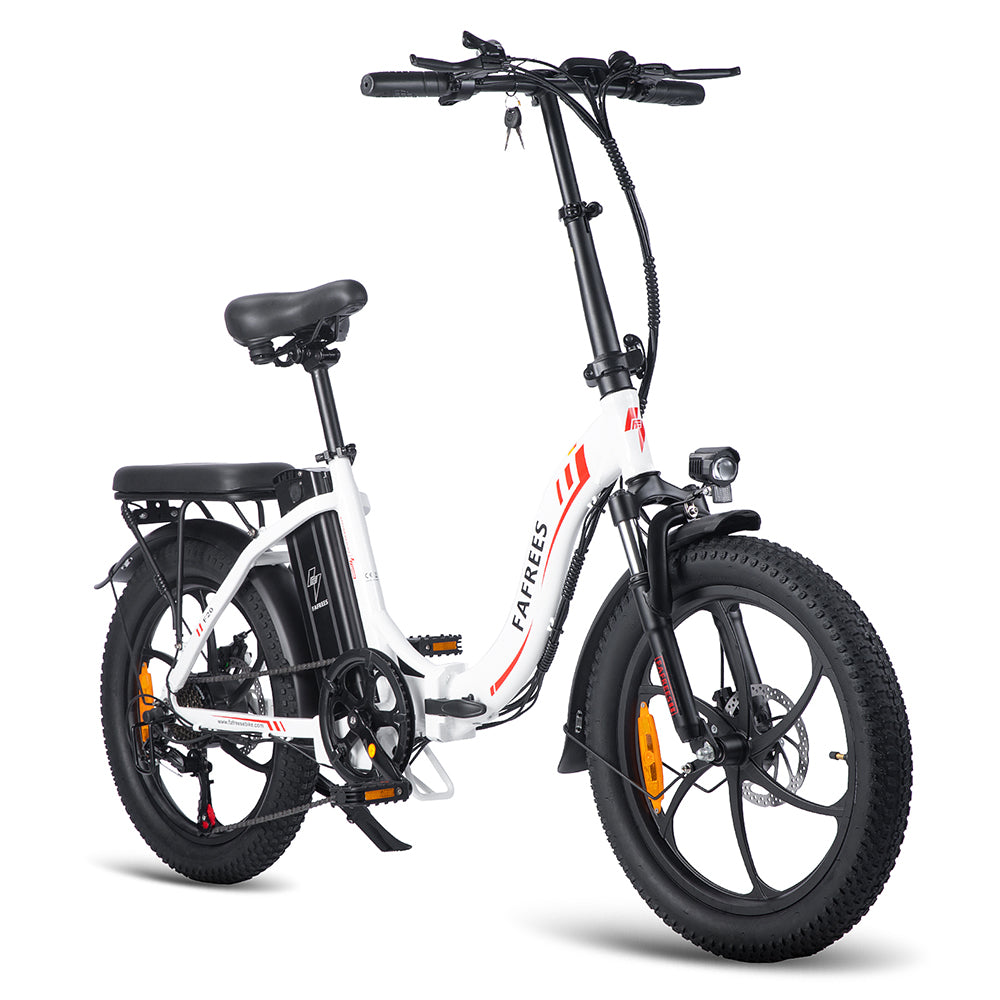 303-Fafrees F20 Fat-Reifen E-Bike