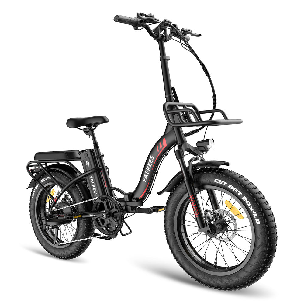 302-Fafrees F20 Max E-bike