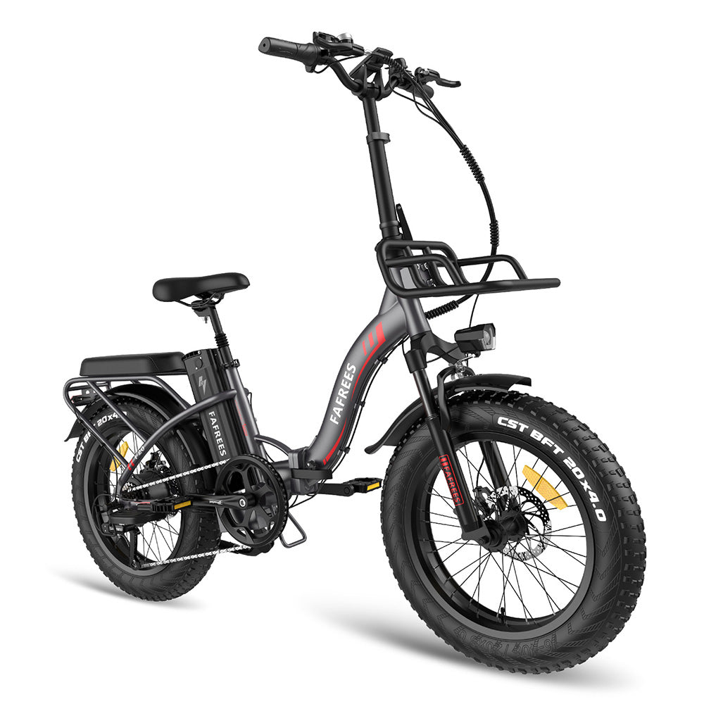 302-Fafrees F20 Max E-bike