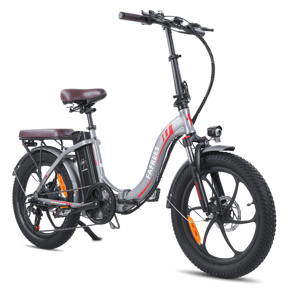 301-Fafrees F20 Pro Fat-tire E-bike