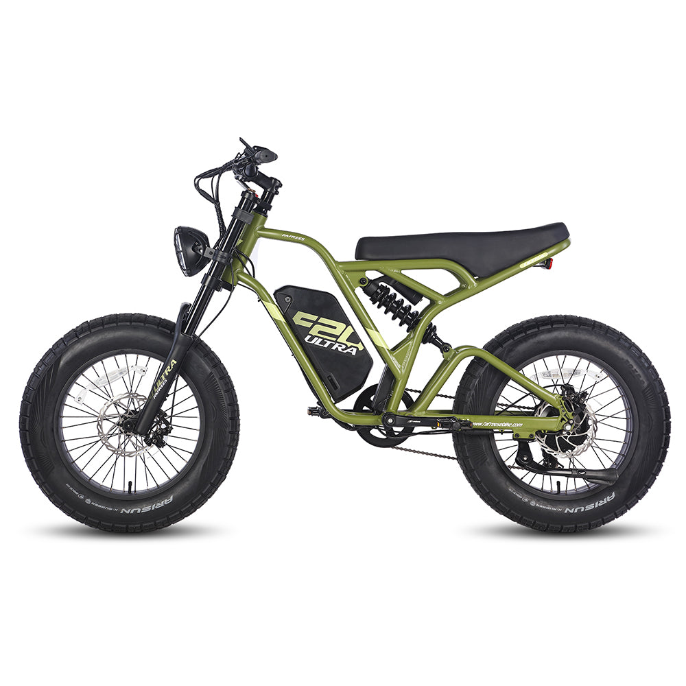 315-Fafrees F20 Ultra Robustes Elektroauto