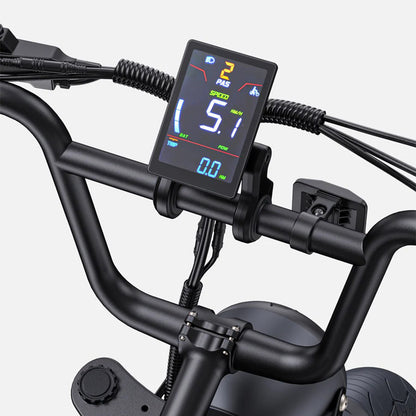 118-ENGWE M1 E-bike