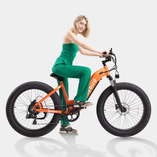 Crazybird CB60 E-Bike