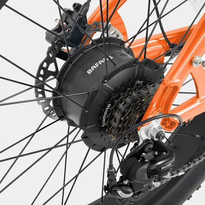 Crazybird CB60 E-Bike
