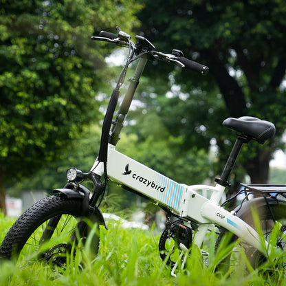 Crazybird CU2 E-Bike
