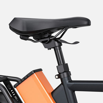 121-ENGWE P275 Pro Ebike