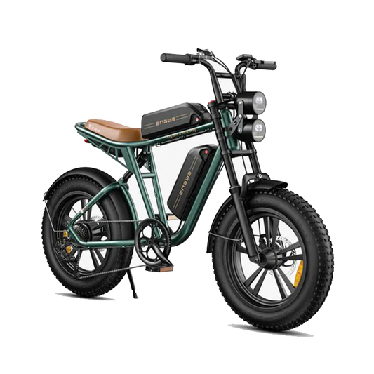 102-ENGWE M20 E-bike mit großer Reichweite