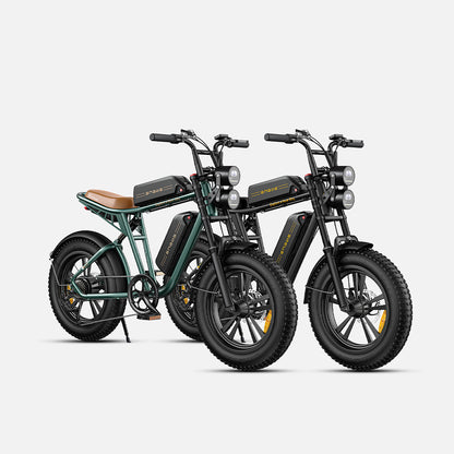 102-ENGWE M20 E-bike mit großer Reichweite