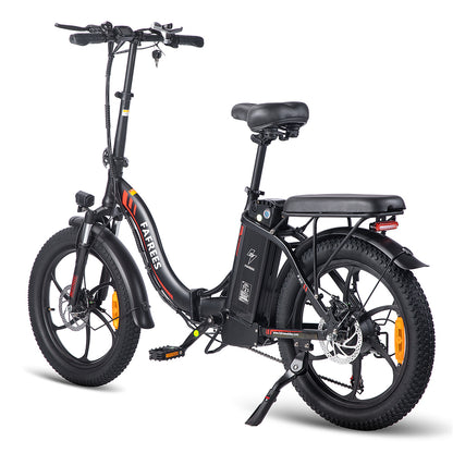 303-Fafrees F20 Fat-Reifen E-Bike