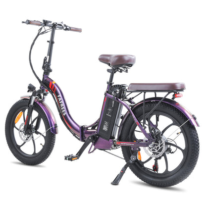 301-Fafrees F20 Pro Fat-tire E-bike