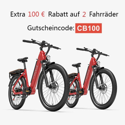 Crazybird Seta E-Bike